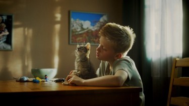 Ein Junge und eine Katze. Das Tier sitzt auf einem Tisch.