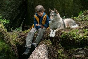 © BJF Bild aus dem Film Bruno bei den Wölfen